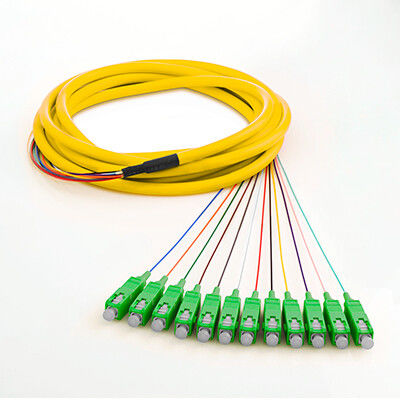 SM SX 0.9mm καλώδια 12 αλτών οπτικών ινών πυρήνας με τον ανεμιστήρα δακτυλογραφεί έξω, σταθερότητα υψηλής θερμοκρασίας